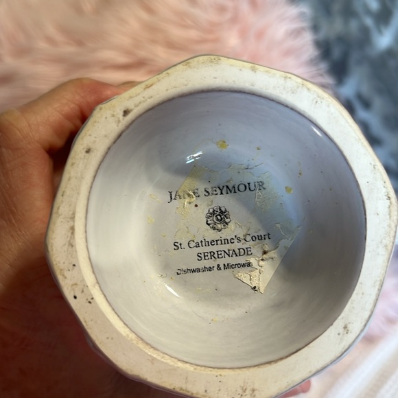 Jane Seymour St Catherines Court Serenade Cup Mug - Picture 7 of 8